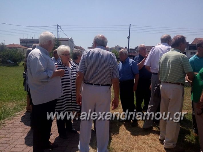 alexandriamou.gr_psixoula3 (4)